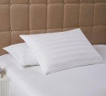 DOWNLITE Down Extra Thin, Flat & Soft Pillow for Stomach Sleepers (Hypoallergenic) (Standard/Queen)