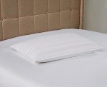 DOWNLITE Down Extra Thin, Flat & Soft Pillow for Stomach Sleepers (Hypoallergenic) (Standard/Queen)
