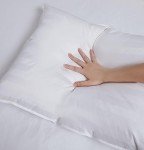 DOWNLITE Down Extra Thin, Flat & Soft Pillow for Stomach Sleepers (Hypoallergenic) (Standard/Queen)
