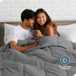 Bare Home Comforter Set - Queen Size - Ultra-Soft - Goose Down Alternative - Premium 1800 Series - All Season Warmth (Queen, Grey)