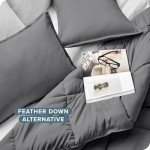 Bare Home Comforter Set - Queen Size - Ultra-Soft - Goose Down Alternative - Premium 1800 Series - All Season Warmth (Queen, Grey)