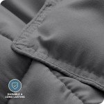 Bare Home Comforter Set - Queen Size - Ultra-Soft - Goose Down Alternative - Premium 1800 Series - All Season Warmth (Queen, Grey)