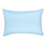 Amazon Basics 5-Piece Lightweight Microfiber Comforter Set with Sheets ,Bed-in-a-Bag Sheets, Blue Striped Bedding, Twin/Twin XL