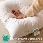 Alanzimo Goose Feather Down Pillows Queen Size Set of 2, Luxury Soft Feather Down Pillow for Sleeping, 600TC 100% Cotton Cover Hotel Collection Bed Pillows for Back, Stomach or Side Sleepers 20x28