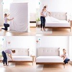 Linenspa Zippered Mattress Encasement - Waterproof & Bed Bug Proof - Premium Noiseless & Absorbent Cover – Full, White