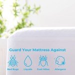 Linenspa Zippered Mattress Encasement - Waterproof & Bed Bug Proof - Premium Noiseless & Absorbent Cover – Full, White