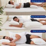 HKYLRAN Bed Pillows King Size Set of 2,for Sleeping, Adjustable King Pillows 2 Pack with Zipper, Cooling Hotel Quality with Premium Soft Down Alternative Fill