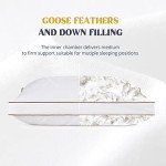 puredown® Goose Feathers and Down Pillow for Sleeping Gusseted Bed Hotel Collection Pillows, Standard, Set of 2