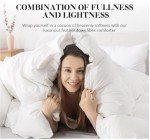 WhatsBedding White Queen Size Feather Down Fiber Comforter, Filled with Feather and Down Fiber, All Season Fluffy Ultra Soft 100% Cotton Duvet Insert, Luxury Hotel Bedding Style Comforter,90"x90"