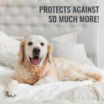 DMI Waterproof Mattress Protector and Mattress Cover, Encased Zippered Fit, Full, Packaging may vary