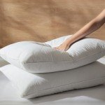 Three Geese White Goose Feather Polyester Bed Pillows Queen/Standard Size Set of 2- Soft 600 Thread Count 100% Cotton, Medium Firm,Soft Support Surround Fill Polyfiber,White Solid