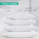 Three Geese White Goose Feather Polyester Bed Pillows Queen/Standard Size Set of 2- Soft 600 Thread Count 100% Cotton, Medium Firm,Soft Support Surround Fill Polyfiber,White Solid