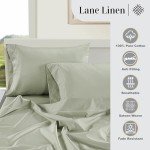 LANE LINEN 100% Egyptian Cotton Bed Sheets 1000 TC sábanas Queen, Soft & Comfy Luxury Hotel Like Thick Bedding Sheets & Pillowcase Set, Machine Wash Cooling 16'' Queen Deep Pocket Sheet Set Mineral