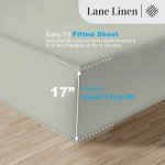 LANE LINEN 100% Egyptian Cotton Bed Sheets 1000 TC sábanas Queen, Soft & Comfy Luxury Hotel Like Thick Bedding Sheets & Pillowcase Set, Machine Wash Cooling 16'' Queen Deep Pocket Sheet Set Mineral