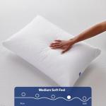 Casper Essential Pillow for Sleeping, Standard, White, Two Pack