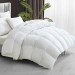 Maple&Stone Feather Down Comforter Queen Size All Season White Down Duvet Insert Ultra Soft 100% Cotton Cover Fluffy Queen Comforter 90 x 90 Inches
