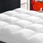 Mattress Topper Queen for Back Pain, Extra Thick Mattress Pad Cover, Plush Pillow Top, Deep Elastic Pocket, White