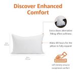 Amazon Basics Down Alternative Pillows, Soft Density for Stomach and Back Sleepers, Queen - Pack of 2, White, 30 in L x 20 in W