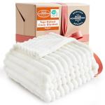 Bedsure GentleSoft Twin Blanket for Bed - Cozy Soft Blankets for Women, Cute Small Fleece Throws for Girls, Graduation Decorations Gift for Her Him School Dorm, Off White, 60x80 Inches