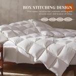 Richtry Goose Feather Down Fiber Cotton Comforter Queen Size, Ultra-Soft Duvet Insert, Hotel Collection White Quilted Comforter, All Season Bedding Comforter with 8 Corner Loops, 90x90 Inch