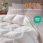Richtry Goose Feather Down Fiber Cotton Comforter Queen Size, Ultra-Soft Duvet Insert, Hotel Collection White Quilted Comforter, All Season Bedding Comforter with 8 Corner Loops, 90x90 Inch