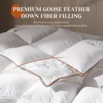 Richtry Goose Feather Down Fiber Cotton Comforter Queen Size, Ultra-Soft Duvet Insert, Hotel Collection White Quilted Comforter, All Season Bedding Comforter with 8 Corner Loops, 90x90 Inch