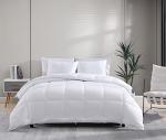 Casa Platino Quilted Bedding Comforter Queen Size - Duvet Insert with 8 Tabs - Super Soft, Comfy & Cozy All Season Queen Size Comforter - Down Alternative Bed Comforters - 88"x88", White Comforters