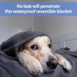 YISURE Waterproof Reversible Blanket for Bed King Size, 90"x80", Stain Proof Leakproof Bed Cover, Washable, Reusable, Protects Beds & Furniture from Spills, Stains & Splashes (Grey/Violet)