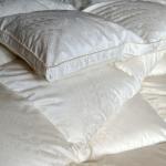Winter Duvet 95% White Sticky Goose Down Filling 1500 Grams ，Cotton Jacquard Shell Cover 220 x 240 cm 1 Piece Customize