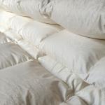 Winter Duvet 95% White Sticky Goose Down Filling 1500 Grams ，Cotton Jacquard Shell Cover 220 x 240 cm 1 Piece Customize