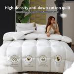Household hotel Down quilt Luxury Duvet Soft Fluffy Four Seasons Down Duvets Washable Comforter Duvet Air-conditioning Quilts