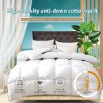 Household hotel Down quilt Luxury Duvet Soft Fluffy Four Seasons Down Duvets Washable Comforter Duvet Air-conditioning Quilts