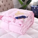 Household hotel Down quilt Luxury Duvet Soft Fluffy Four Seasons Down Duvets Washable Comforter Duvet Air-conditioning Quilts