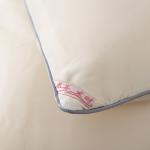 Raw cotton summer single double bed light quilt core Air conditioning quilting twin queen size duvet Washable jacquard comforter