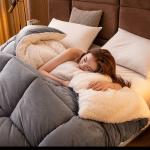 Students Fall And Winter Thickened Wool Futon Space Comforter Duvet Skin-Friendly Cotton Fabric Warm Quilt Vacuum Futon Warm