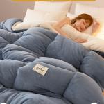 Students Fall And Winter Thickened Wool Futon Space Comforter Duvet Skin-Friendly Cotton Fabric Warm Quilt Vacuum Futon Warm