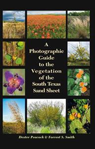 A Photographic Guide to the Vegetation of the South Texas Sand Sheet (Perspectives on South Texas, sponsored by Texas A&M University-Kingsville)