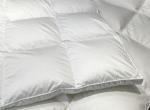 Duvet Shell Cover 100% Cotton 100 s Pure White Color   25 Pieces Customize