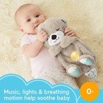 Fisher-Price Soothe 'n Snuggle Otter Plush Toy