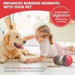 TreckPet Interactive Dog Treat Dispenser Toy
