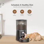 Automatic Cat Feeder - 4L Timed Dry Food Dispenser