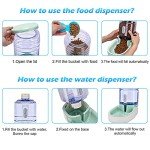Automatic Pet Feeder and Water Dispenser Set