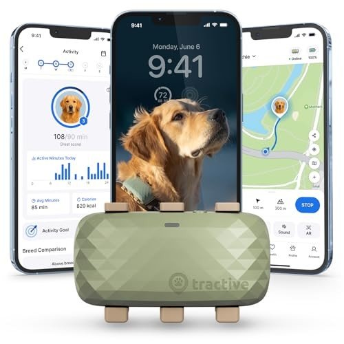 Tractive GPS for Dogs XL - Real-Time Tracking