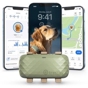 Tractive GPS for Dogs XL - Real-Time Tracking