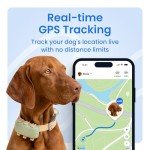 Tractive GPS for Dogs XL - Real-Time Tracking