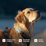 Tractive GPS for Dogs XL - Real-Time Tracking