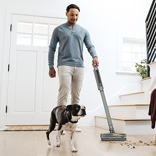 Shark [WV361UK] Cordless Handheld Vacuum Cleaner WandVac System Anti Hair Wrap Technology, Single Battery ,Grey,2-in-1 Vacuum,