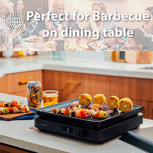 Rasonic Portable Compact Induction Cooker Single Hot Plate with Grill Plate and Cover INCLUDED, Knob Control, 2100W Electric Hob Cooktop 10 Power Levels and Temperature Controls, 1 min to 8-hour Timer