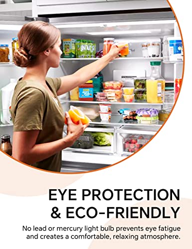 PURSNIC E14 LED Light Bulb Small, 1.5W LED Fridge Bulb Equivalent to 15W Halogen Bulb, Cool White 6000K,150LM SES Small Edison Screw Bulb, for Fridge and Sewing Machine, 360°Beam Angle, 2 Pack