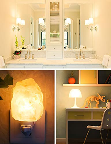 Ariseno 2W E14 LED Light Bulb, Fridge Bulbs, 200LM 3000K Warm White, Small Edison Screw Bulbs Mini, Replacement for 20W Halogen Bulb, Appliance Bulbs for Fridge, Cooker Hood, Night Light, Pack of 2